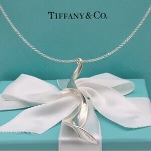 Tiffany & Co. Large Frank Gehry Orchid Necklace Pendant Sterling Silver W/ Box
